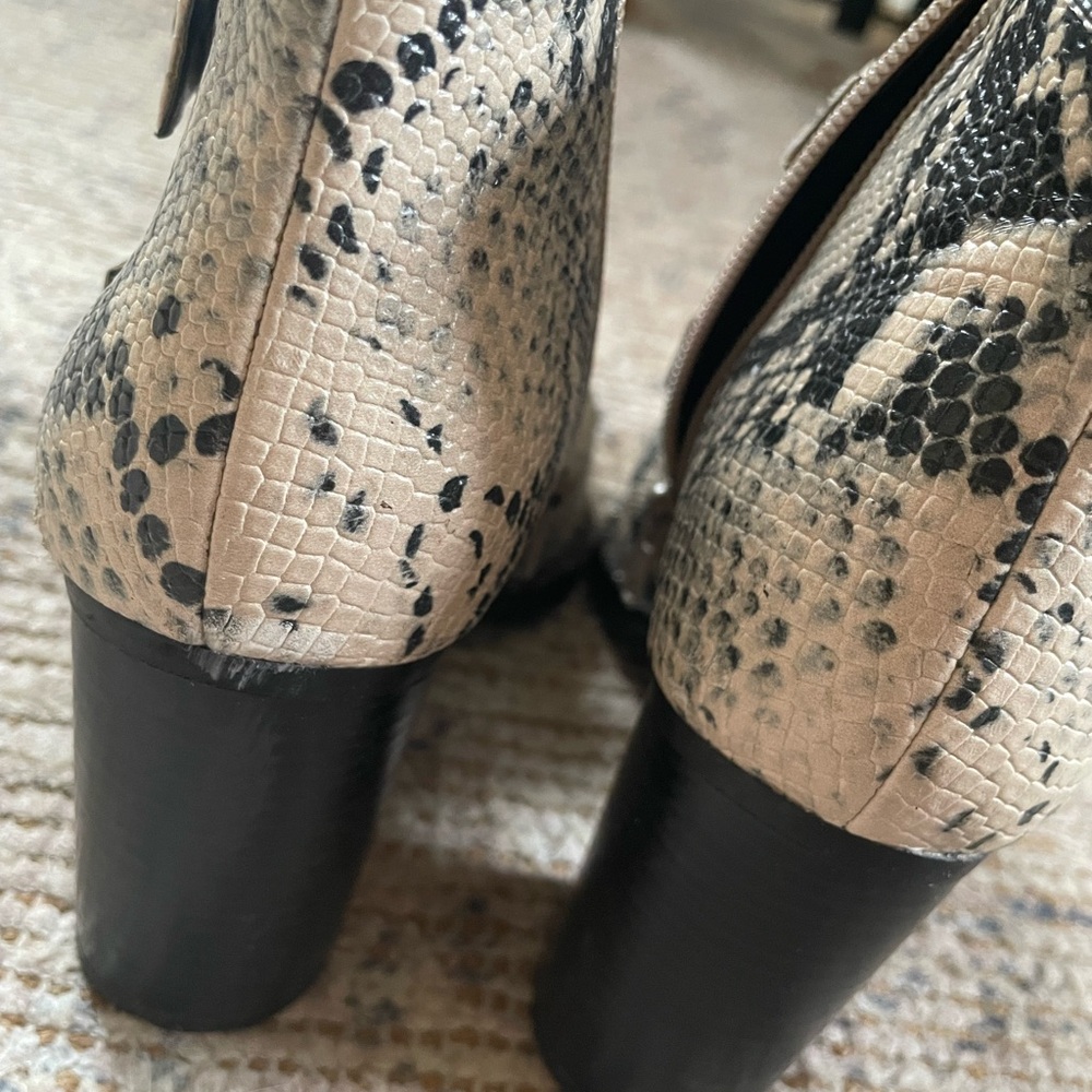 Steve Madden Black and Cream Snakeskin Ankle Boots - Picture 5 of 8